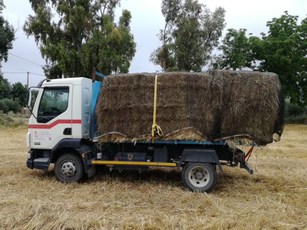 transportes